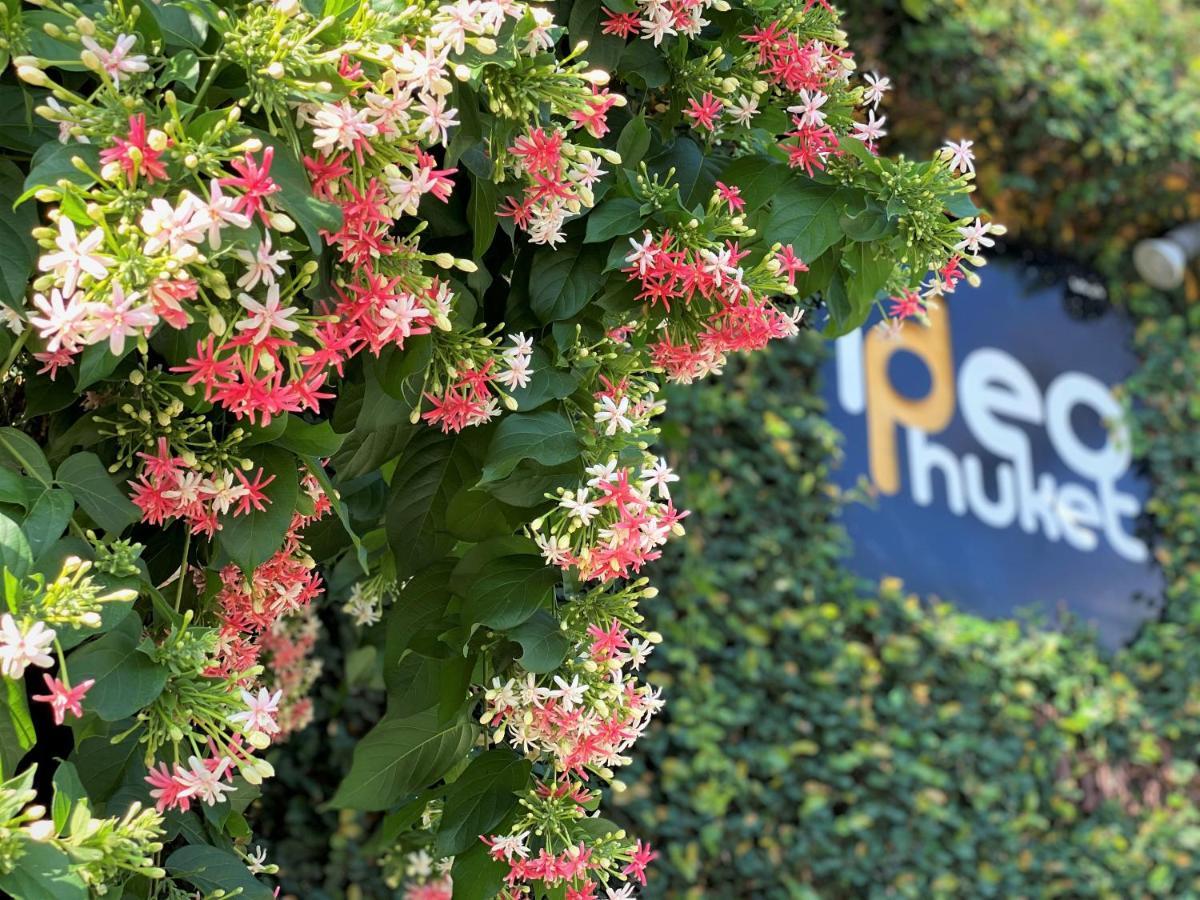 Ideo Phuket Hotel - Sha Extra Plus Nai Yang Bagian luar foto