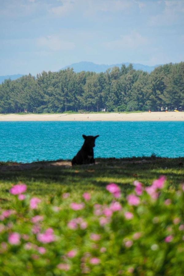 Ideo Phuket Hotel - Sha Extra Plus Nai Yang Bagian luar foto