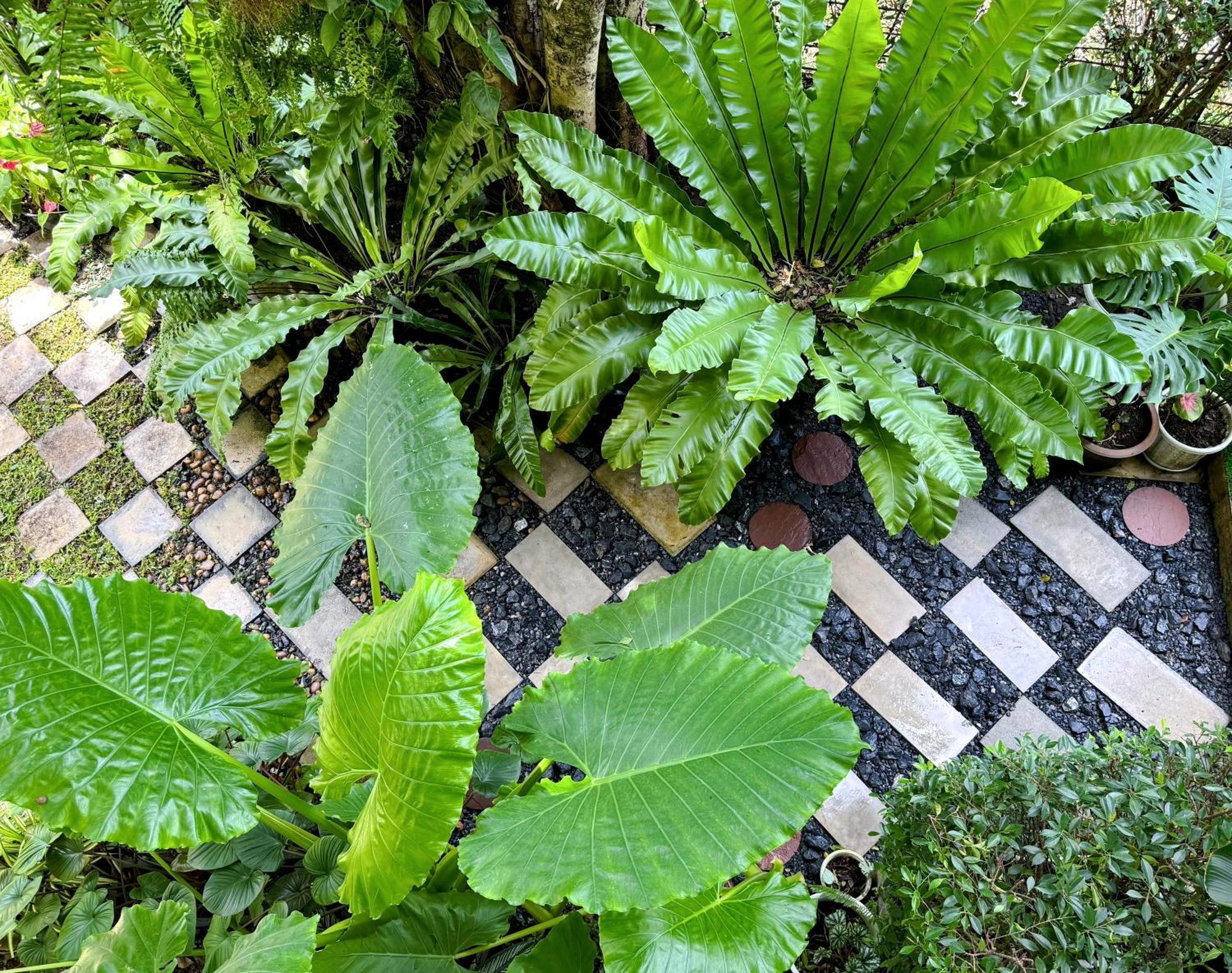 Ideo Phuket Hotel - Sha Extra Plus Nai Yang Bagian luar foto